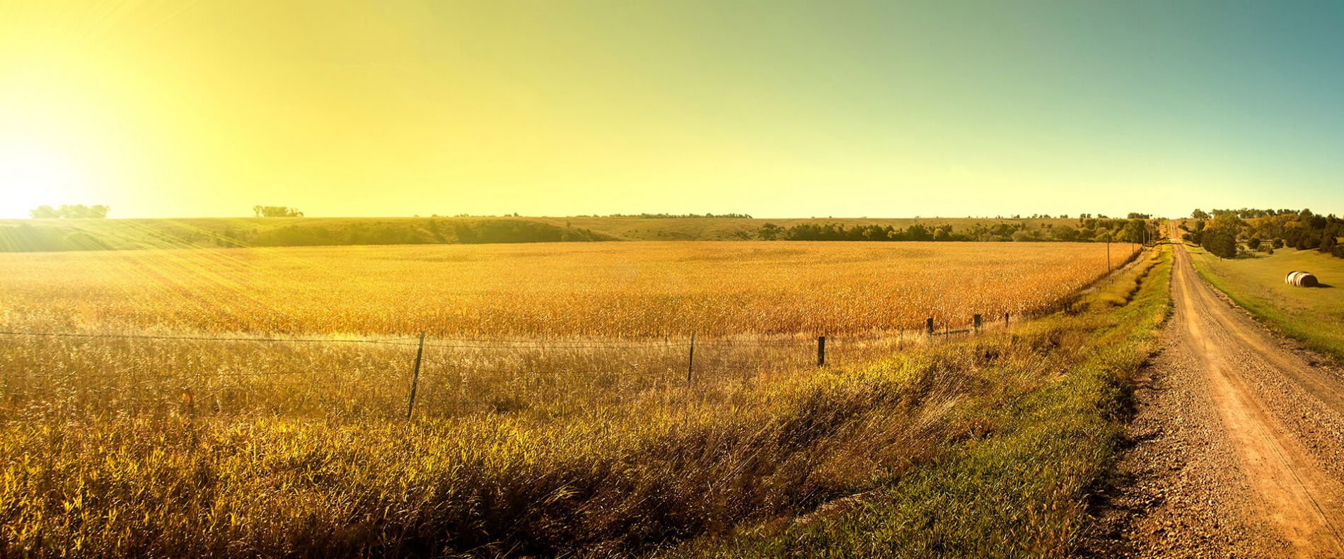 South Dakota farm sunset.