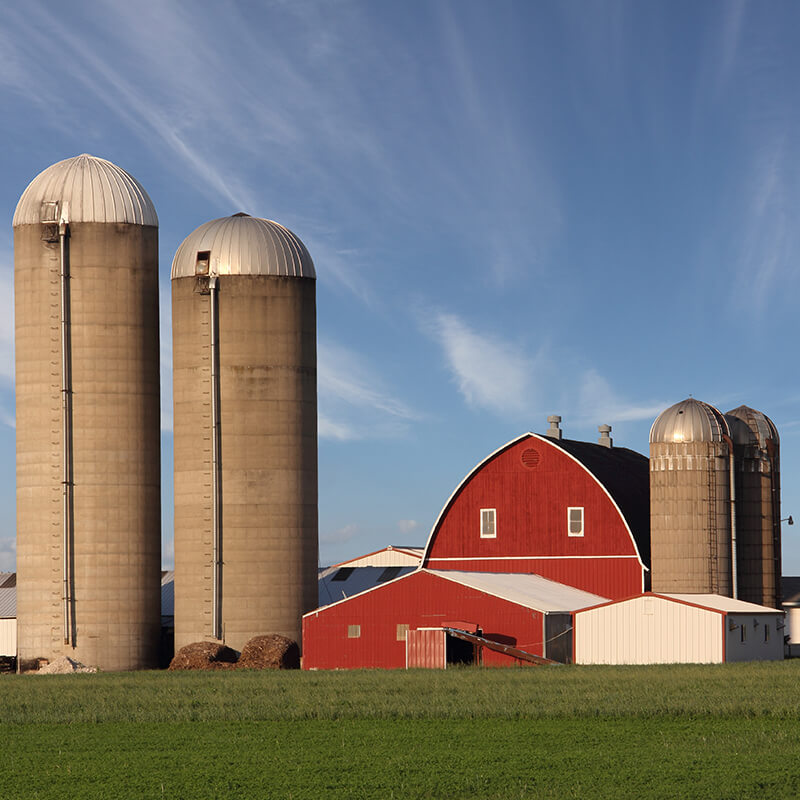 Farmhouse with grain silos.