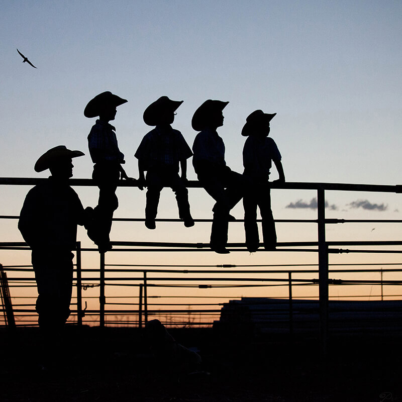 Father and sons on a gate at sunset.