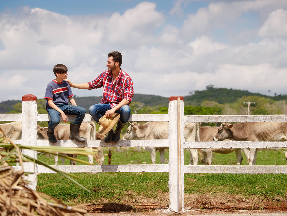 Father and son on fence. 